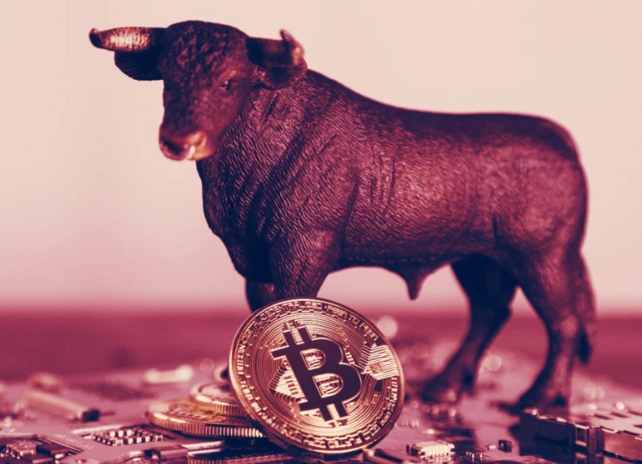 2020년 상승폭이 가장 높은 14개 전통 암호화폐 정리