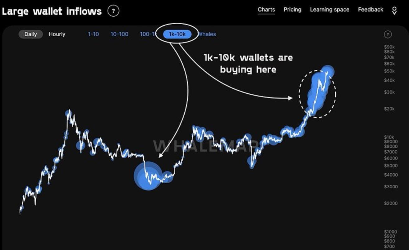 Joseph Young：比特币的涨势比以前的牛市周期更具可持续性