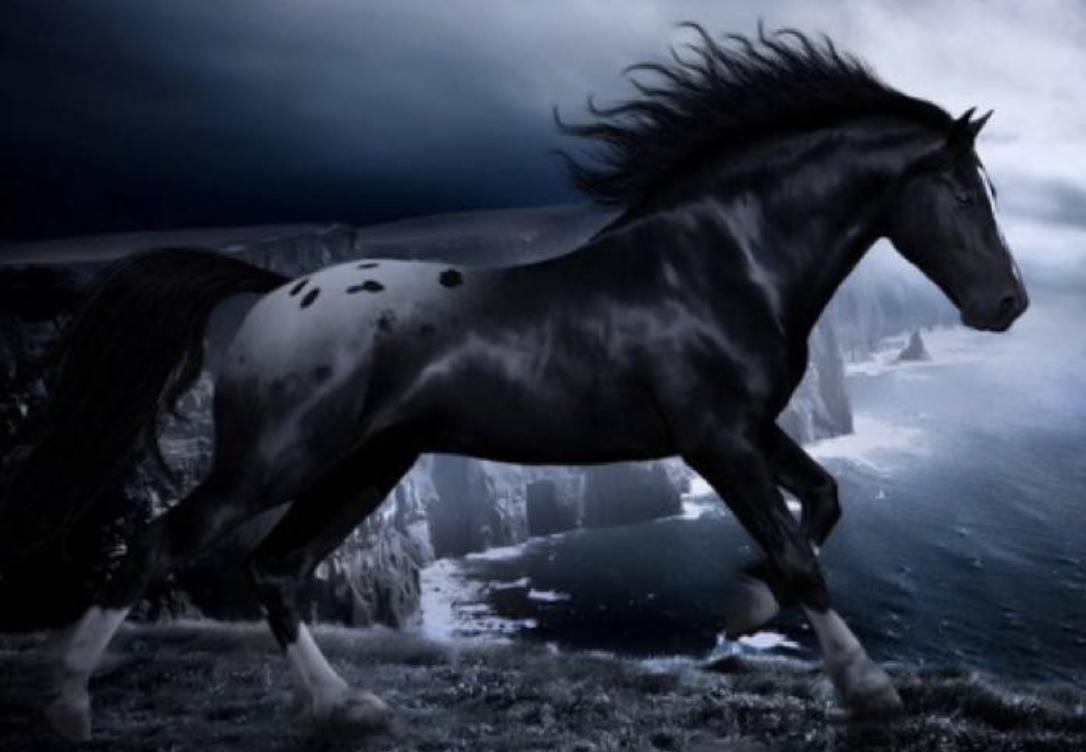 왜 Bancor가 DEX 트랙에서 저평가된 다크호스가 될 수 있다고 말할까요?