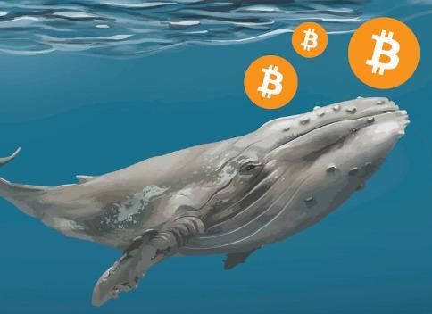 회색 지대 위기: GBTC 프리미엄 '좋은 날'은 다시 돌아오지 않을까?