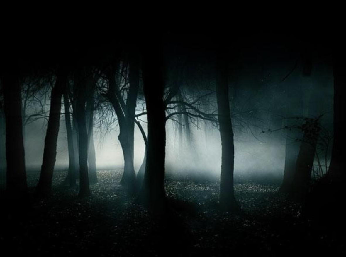 Flashbots 与 KeeperDAO：MEV价值的守护者