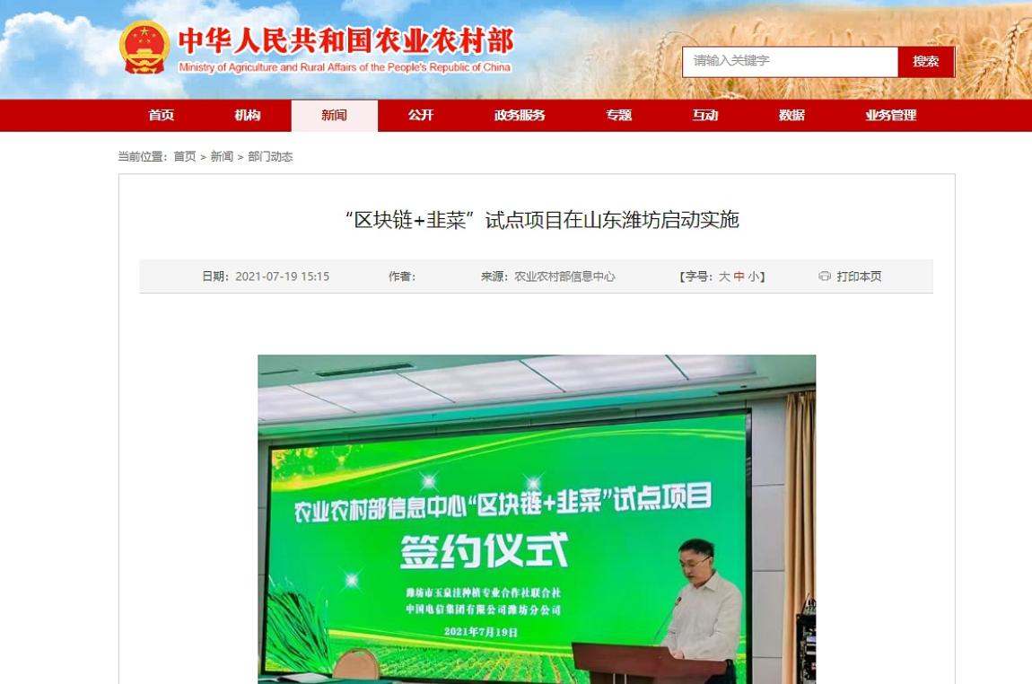 “区块链+韭菜”试点项目在山东潍坊启动实施