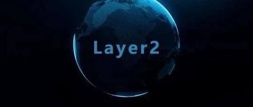 詳解二層拡張方案 Metis 特性と競争優劣勢