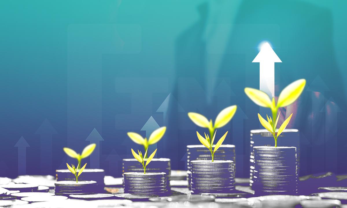 How does the carbon trading market DAO organization Klima DAO operate?