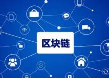 ファーストクラスの深層研究報告：Oasis Labs