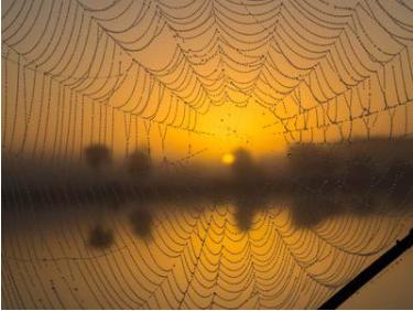 LayerZero, Cosmos 및 Polkadot을 예로 들어 분석: 크로스체인 종국의 전투