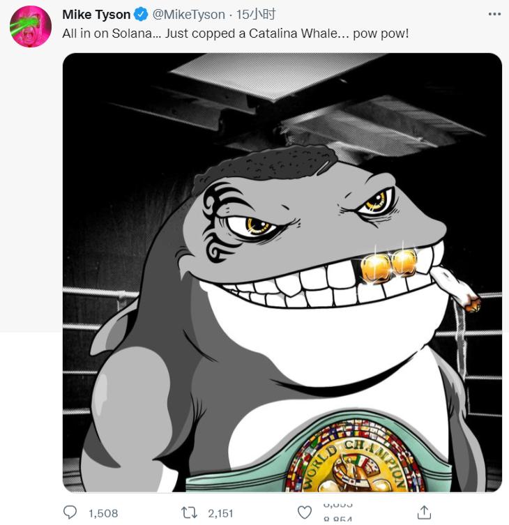 前世界重量级拳王迈克·泰森表示要"All in on Solana"