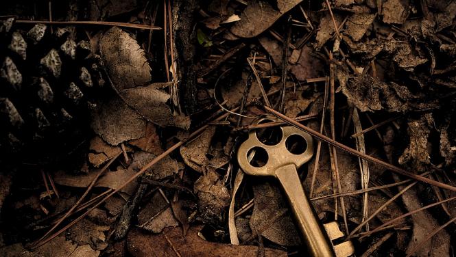 NFT 가치 평가 프레임워크 CACAU 이해하기: 문화, 미학, 커뮤니티, 자산 및 실용성 접근하기