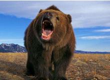 FWB：一个创意工作者的 DAO