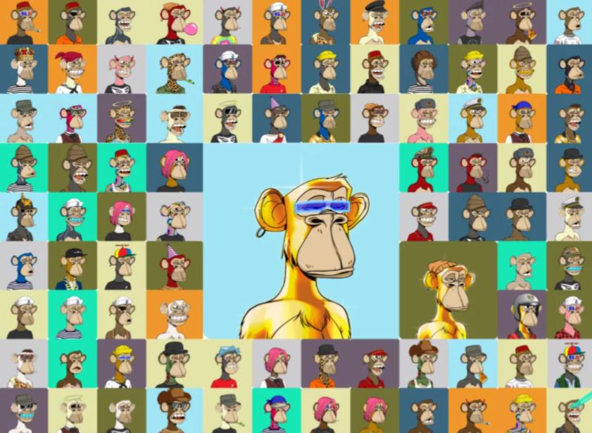 对话「无聊猿」创始人：是什么造就了BAYC的成功？