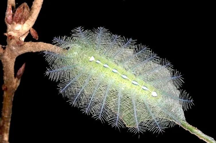 最新NFT生态重点项目汇总：交易平台、元宇宙等14大应用场景全扫描