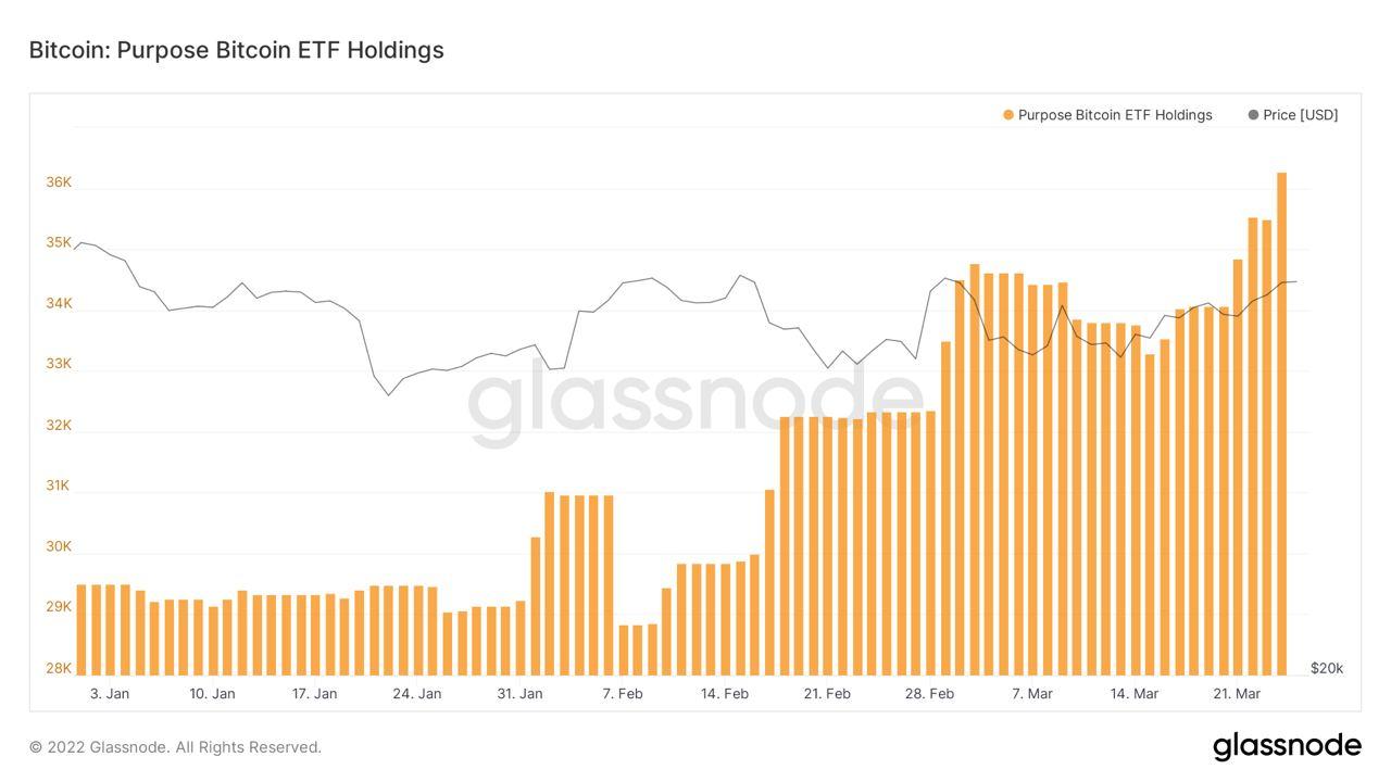 加拿大比特币基金Purpose Bitcoin ETF年初至今比特币持有量增加23%
