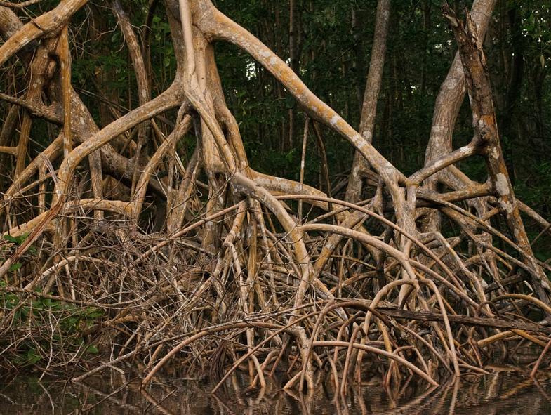 A Detailed Explanation of How Web3 Aggregation Theory Creates New Markets