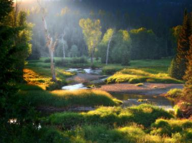 Dividing the four quadrants of cryptocurrency by fraud and utopianism