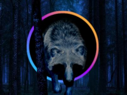 크로스 체인 삼중 난제와 모듈화 해결 방안