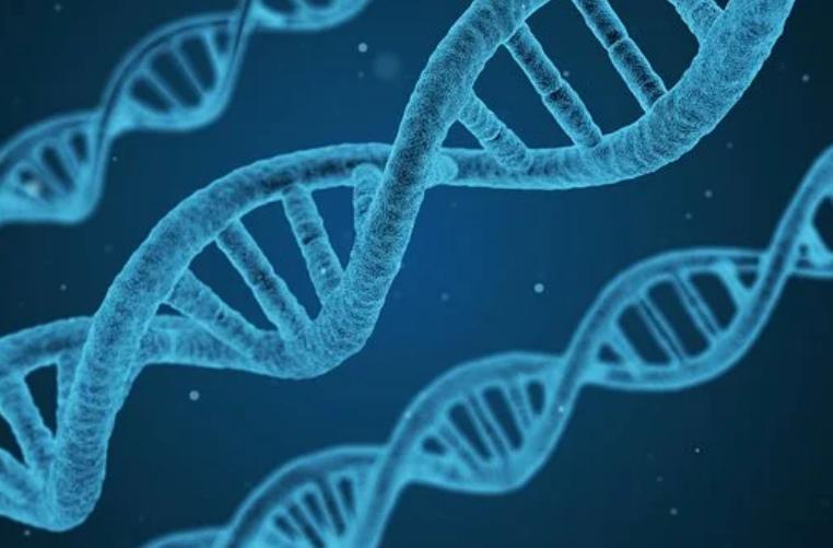 a16z: A Decentralized Guide to the Biotechnology Industry