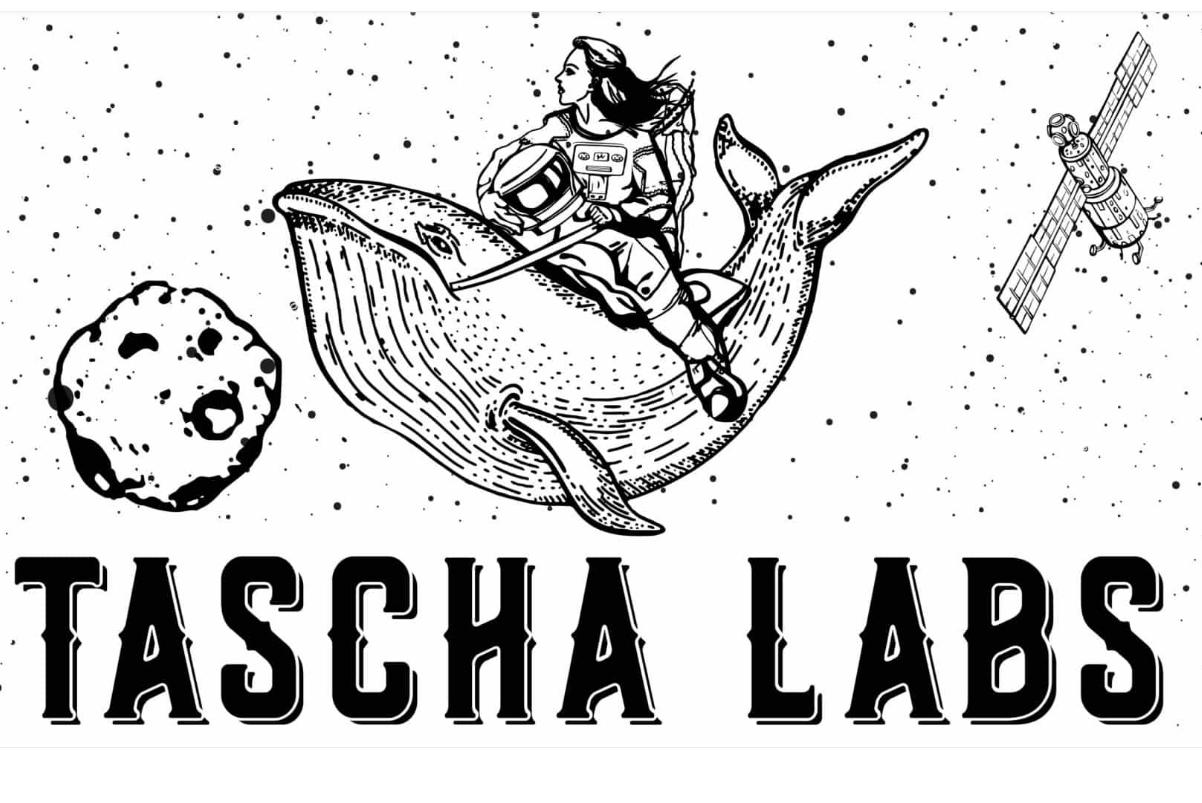 观点：来自现实公司的实用代币将推动Web3的下一次大爆发