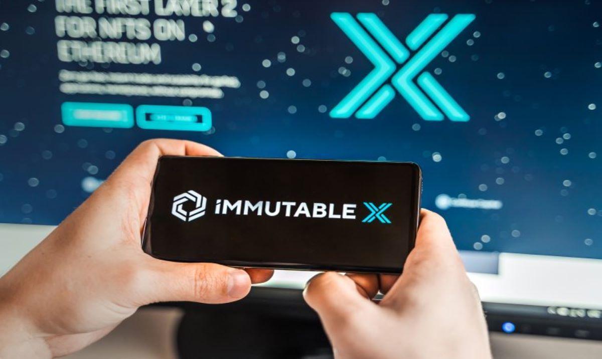 Immutable X: From Blockchain Game Infrastructure to a Standardized NFT Issuance Platform
