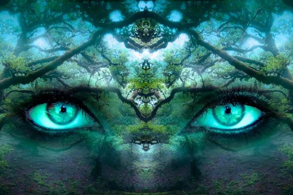 Value Discovery and Psychoanalysis of DID in the Context of DeSoc