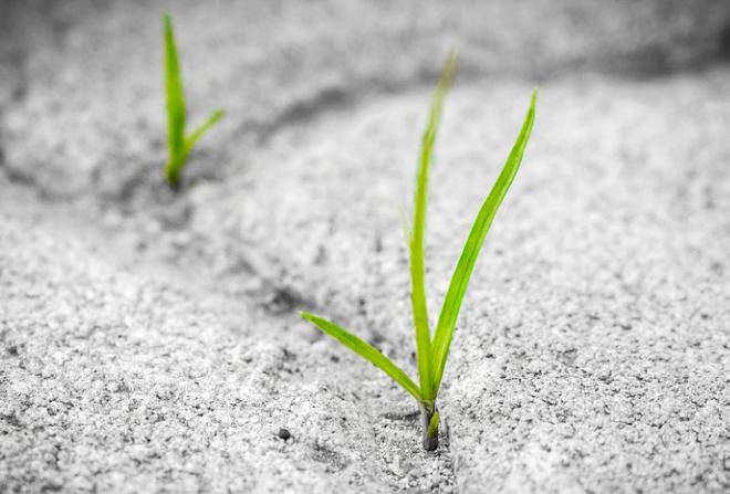 Inventory of new public chains based on Move language and the investment opportunities behind them