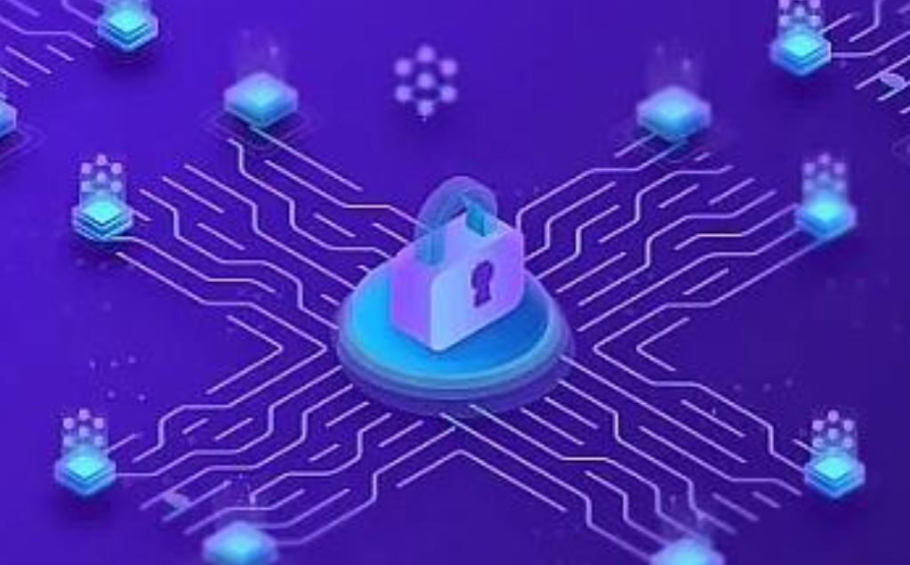 プライバシー公チェーンエコシステムの発展状況を振り返る：一般的に初期開拓段階にある