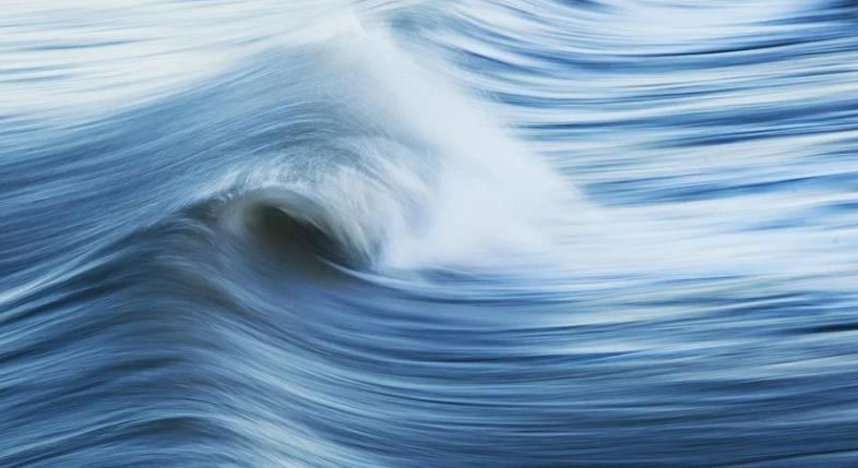 Blockchain Capital：메타데이터 기반으로 구축된 동적 NFT(dNFT) 상세 설명