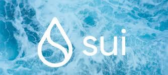 Sui 공동 창립자 Adeniyi: 향후 5년 동안 Move가 암호화폐 산업을 어떻게 변화시킬까요?