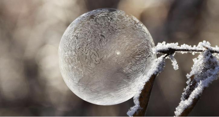 2억 달러의 가치를 깊이 파고든 새로운 공공 블록체인 Shardeum: WazirX 공동 창립자 "새 술은 옛 병에 담다"