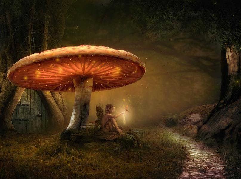 Vitalik: DAO는 회사가 아니며, 자치 조직에서의 탈중앙화가 매우 중요하다