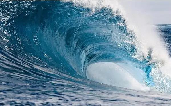 FTX 창립자 SBF와 DCG 창립자 Barry의 최신 내부 신문 전문