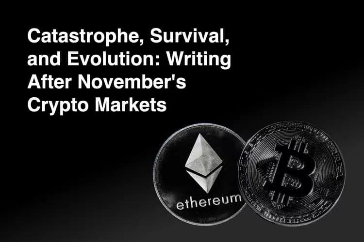Extinction, Survival, and Evolution: Reflections After the November Crypto Market
