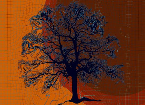 ZK Validator: 2022년 제로 지식 증명 분야 회고