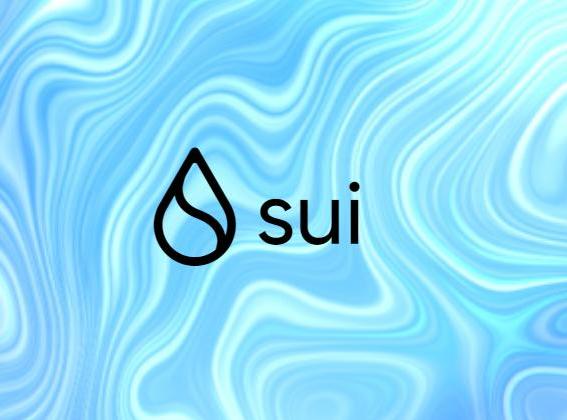 Sui 재단의 지원을 받은 첫 번째 12개 프로젝트 점검