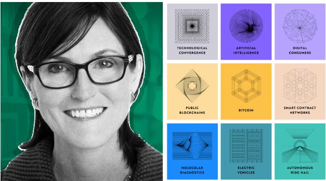 ARK Invest 年次報告ハイライト：2030年、ビットコインは100万ドルを突破する