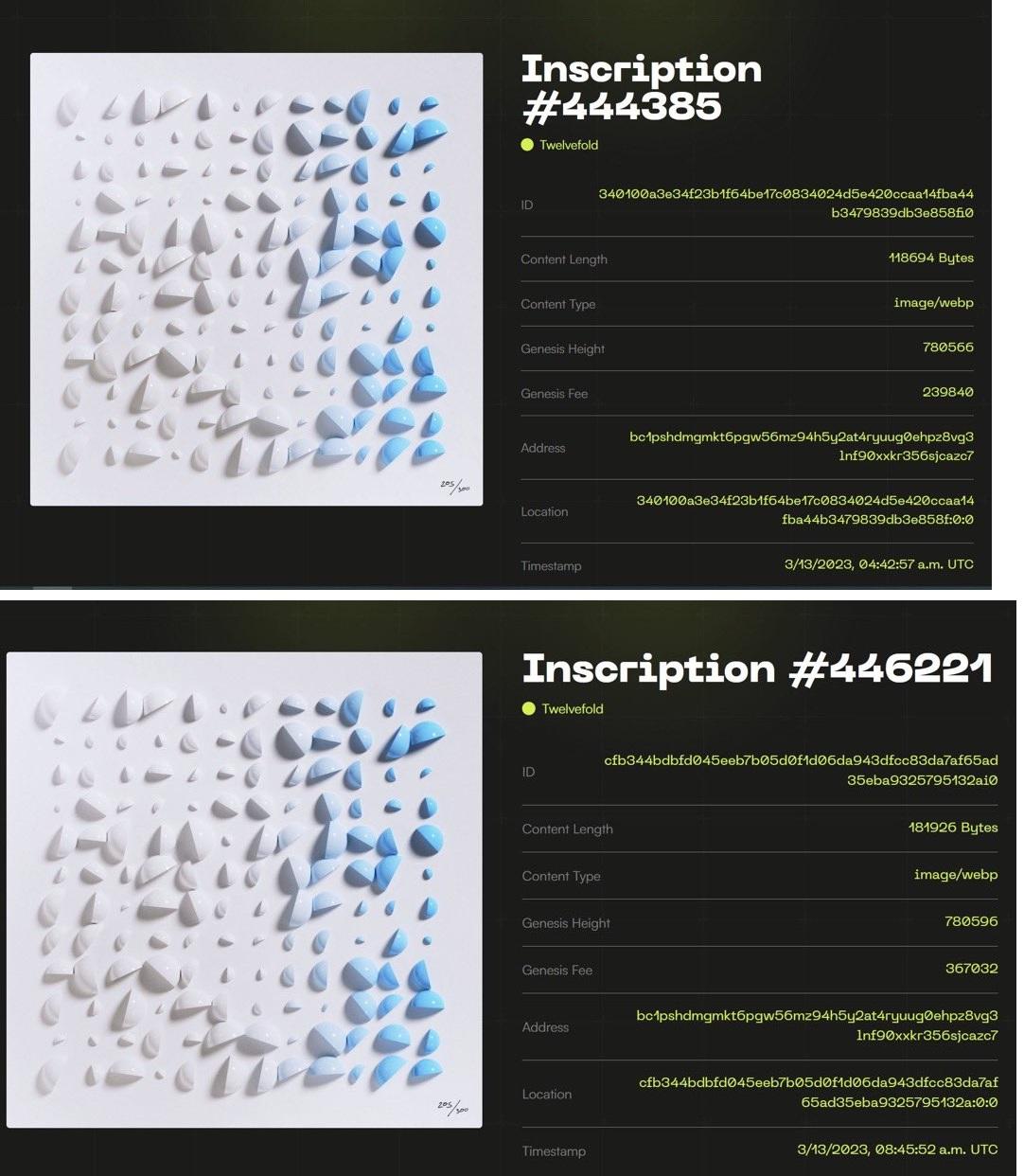 Bitcoin NFT series TwelveFold #205 has been repeatedly engraved