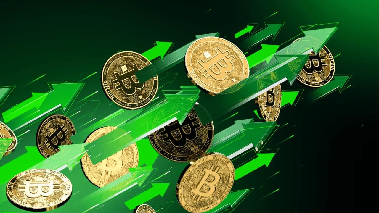 61 个百倍项目的特征，寻找下个周期 alpha