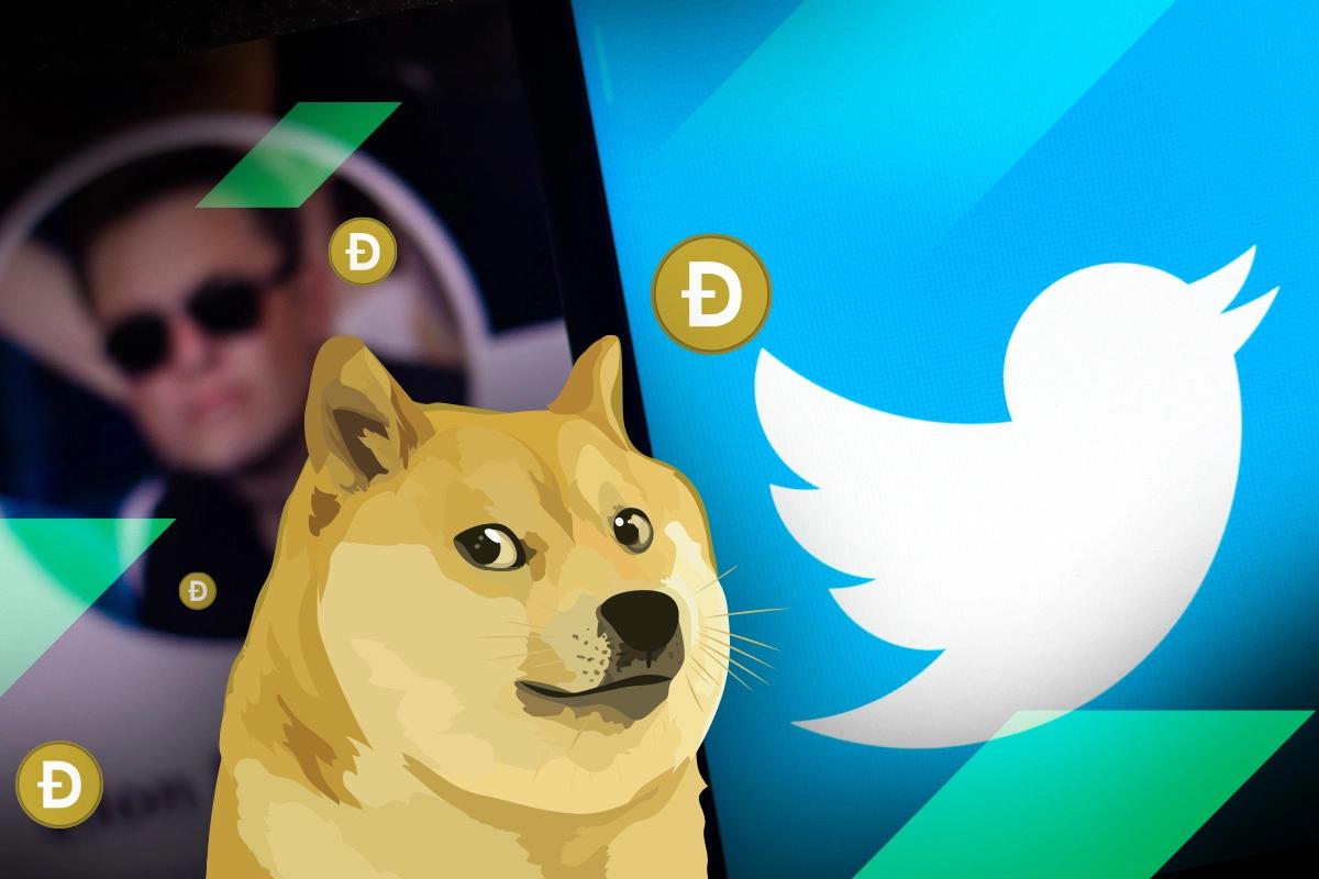 A chart recounts Musk's past public endorsements of Dogecoin