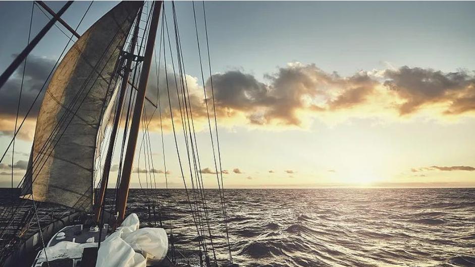 권익 NFT의 대항해 시대