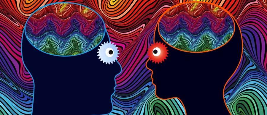 Buidler DAO: A Comprehensive Overview of the LSD Ecosystem and Cutting-Edge Developments