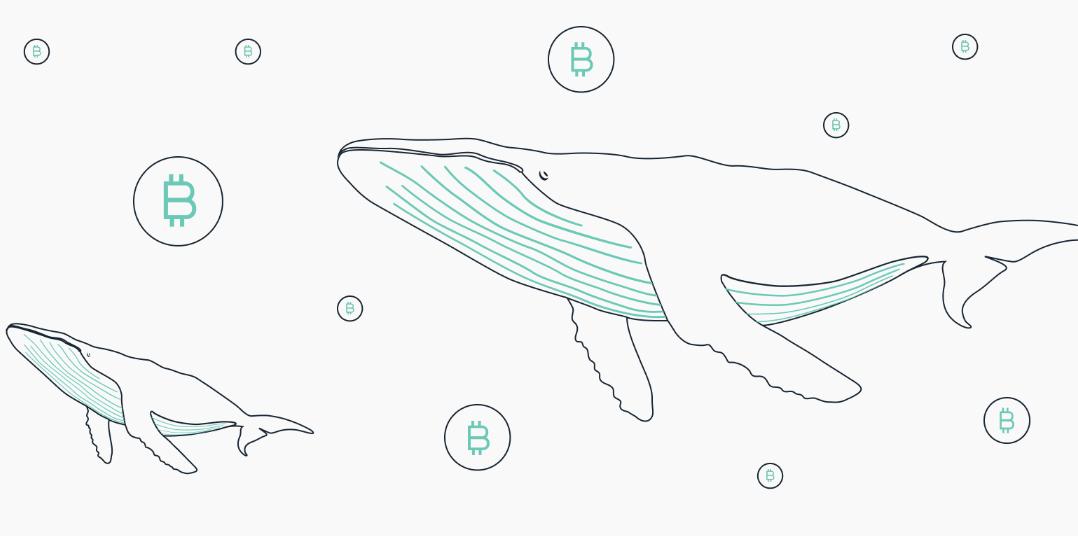 DeFi 채굴, 레버리지 거래? 암호화된 억만장자와 대가들의 온체인 활동을 깊이 파헤치다