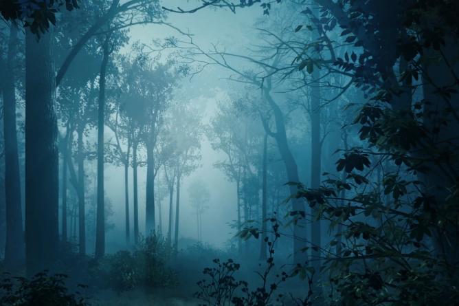 Illustration of MEV All Tracks: How to Navigate the Dark Forest?