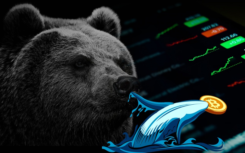 Delphi Digital 공동 창립자: 암호화 시장의 주기성 또는 예측 가능성, 데이터가 상승장이 곧 올 것임을 드러냄