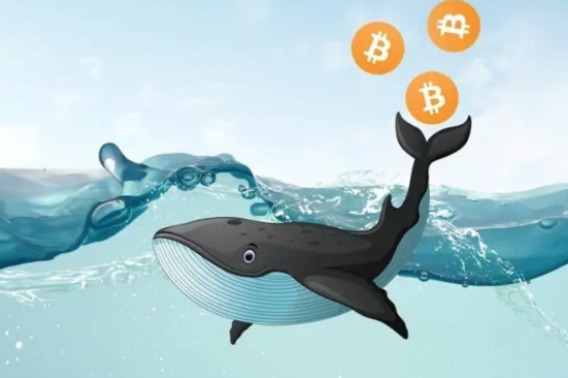 比特币"富豪榜"上的巨鲸们，如今怎么样了？