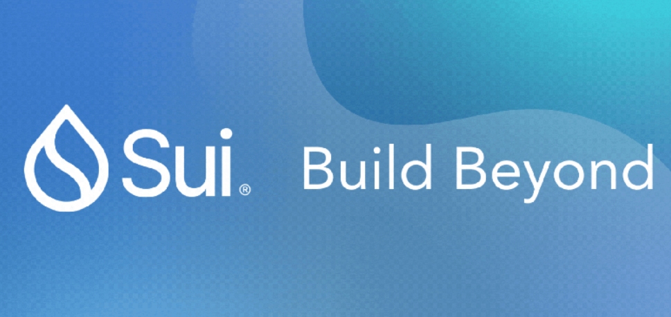 深度对话：从底层看 Sui 设计理念及网络规模扩展