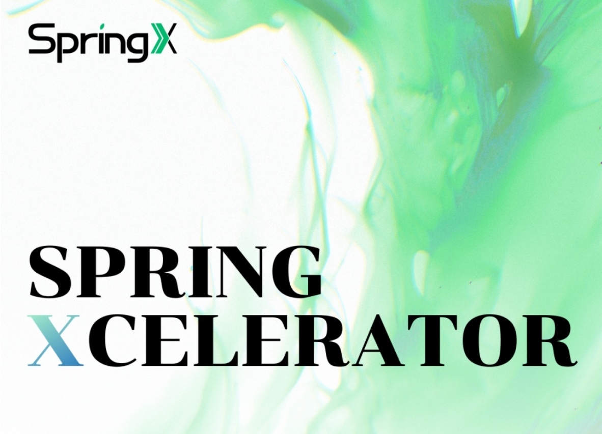真实的创始人网络：Web3 加速器 SpringX 来了