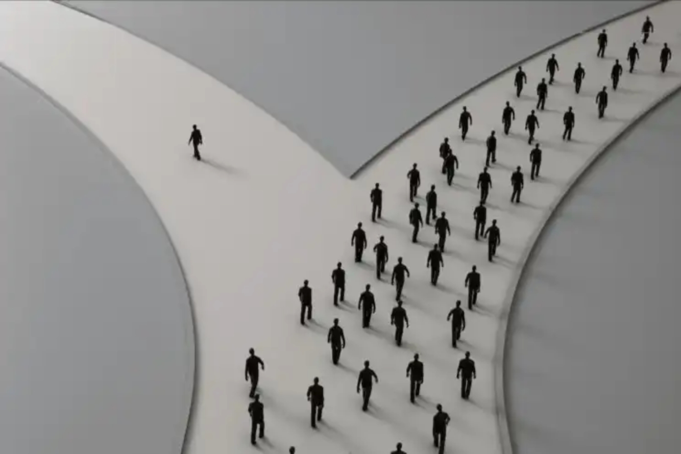 所有 DAO 组织，不是在分叉，就是正走在分叉的路上