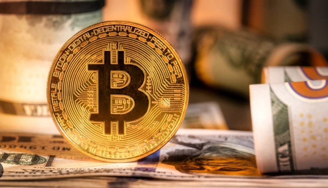 灰度揭秘比特币持有者格局：仅 2.3% 所有者有 1 枚以上比特币