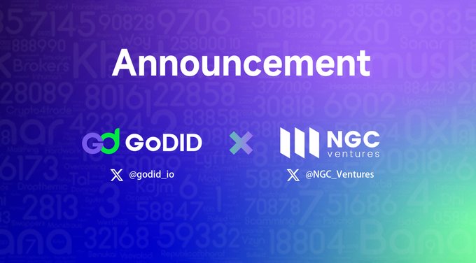 DID 시장 집합체 GoDID가 3천만 달러의 가치로 새로운 투자 라운드를 완료했으며, NGC가 주도했습니다
