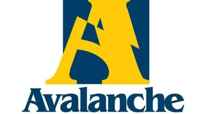 AVAV 社区倡导成立公益基金，呼吁大家加入女性公益事业