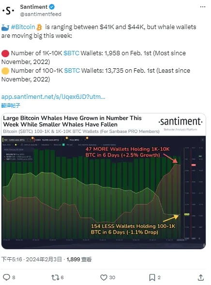 Santiment：本週比特幣鯨魚錢包地址數量大幅波動，創超一年之最
